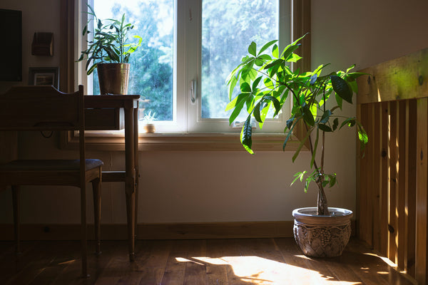 Welcome to Luxe Sanctuary: Elevate Your Home, Enhance Your Life - Luxe Sanctuary